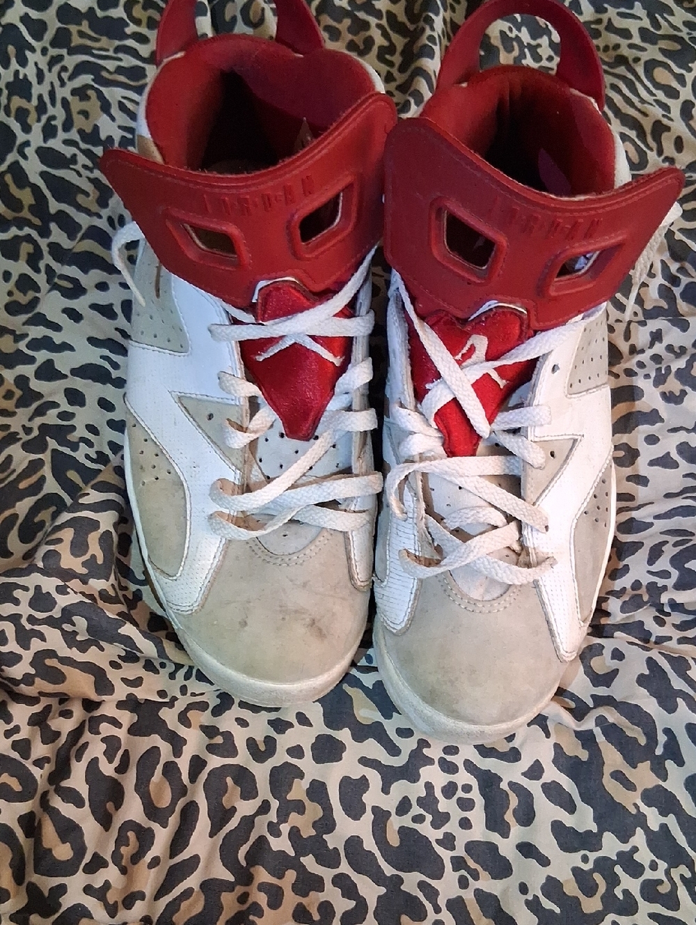 Jordan 6 Mens